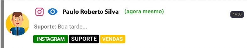 Conversa do Instagram na tela de atendimento